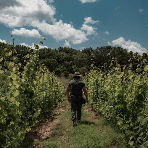 Image - f9348535-a967-44af-807b-66b8476fec43