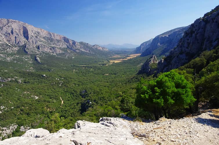 Image - 86632253-eea0-43bf-8f68-9a19f1255d6d