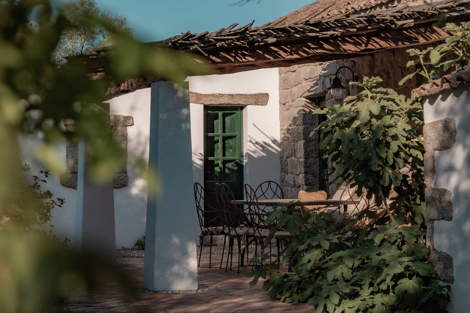 Image - 9f914b68-2df8-4893-8142-bfa03f3ed756