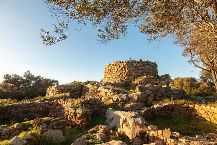 Image - 3e7b5aed-39e6-422d-92ec-fa50acde5851