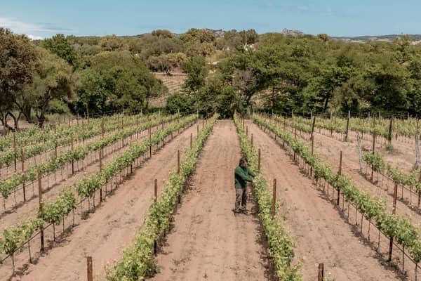 Vigna Stazzo Lu Ciaccaru Arzachena 05