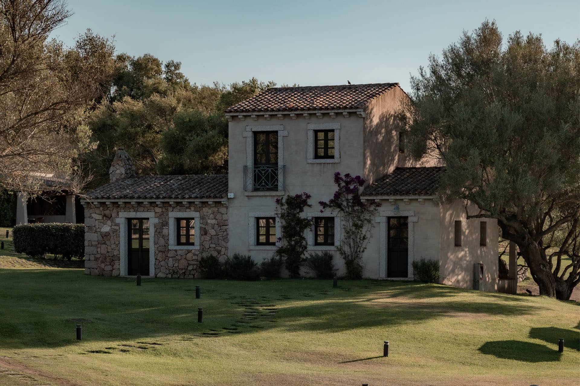 Image - bc1e13a7-563b-4a62-a4d2-a6334831de86