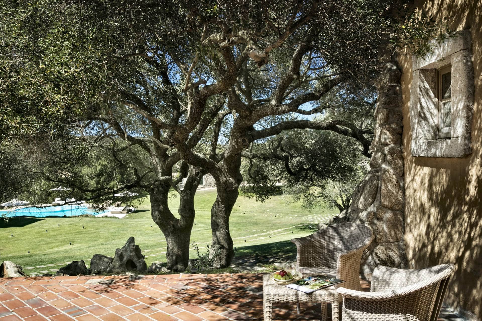 Image - b9457c81-a49b-42ee-b071-46efabfdc8a2