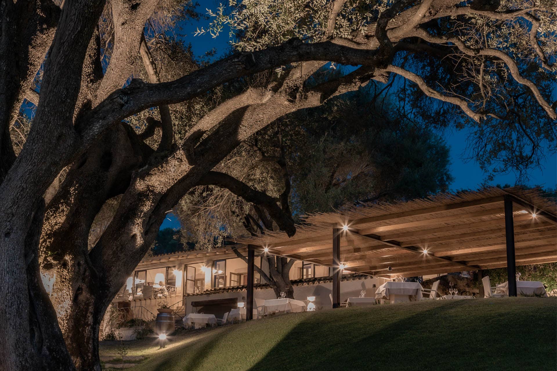 Image - 1daf0810-5f16-47f9-98d2-00f3f5796b68