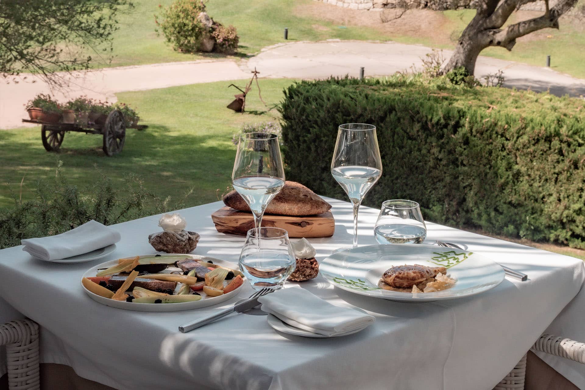 Image - aa653704-219a-403c-80bb-d54a445d3940