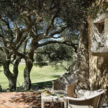 Image - 239af695-37b6-4e82-8679-6f928e063d4e