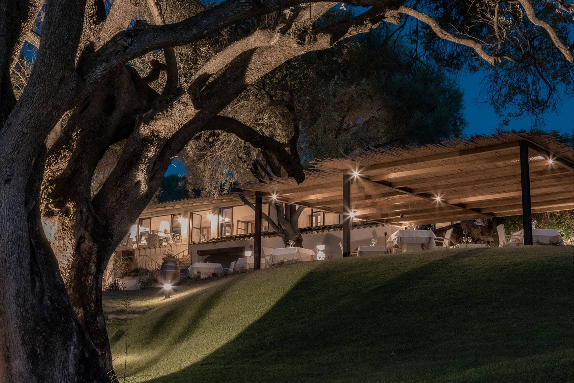 Image - 43983835-c85c-4b23-a311-c62d72861913