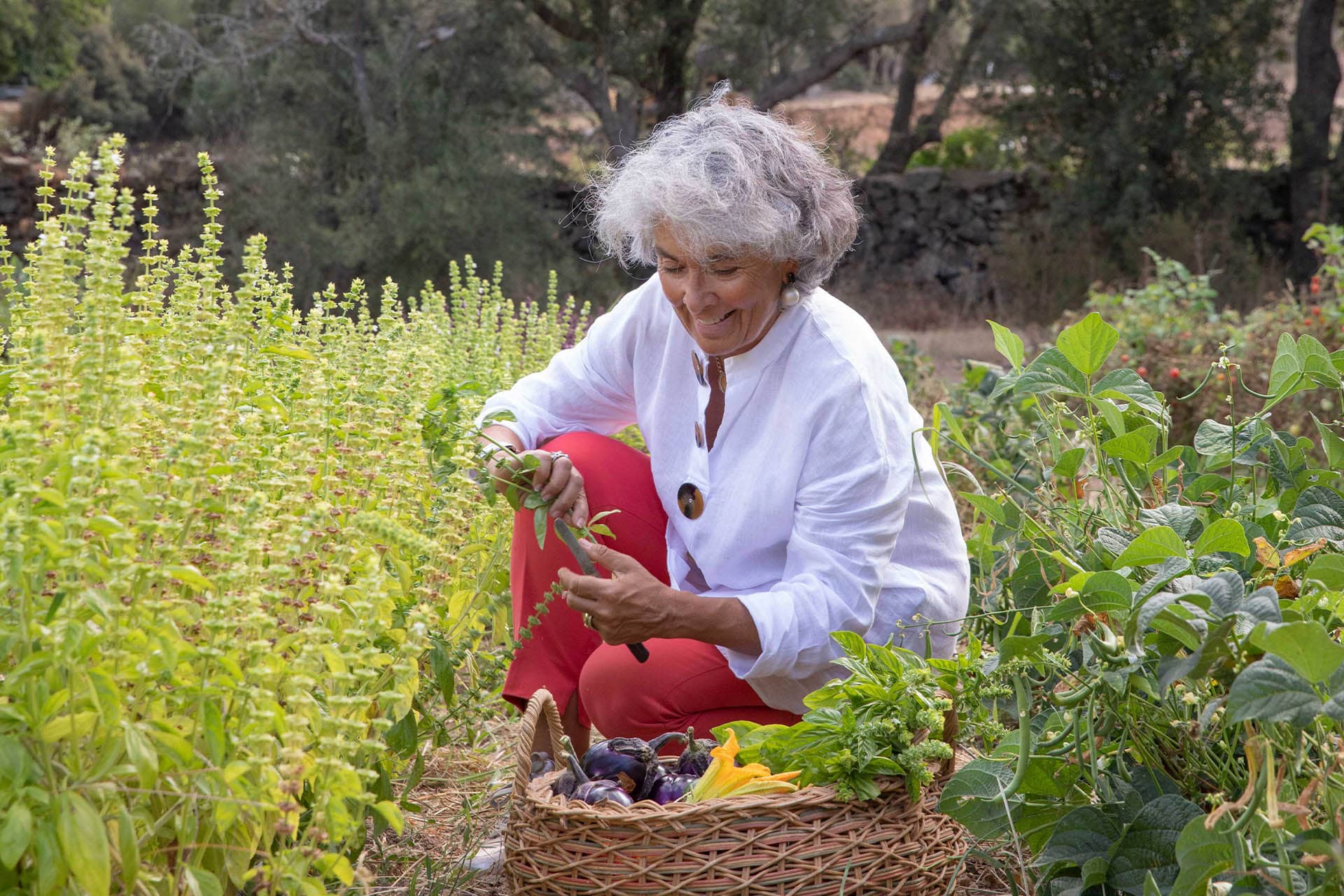 Image - 63ad0bed-7b18-4707-84cf-9a1dd703cd6f