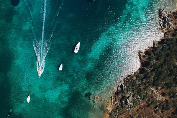 Image - ade4316a-b858-4bfc-86bc-38a3dbedfa83