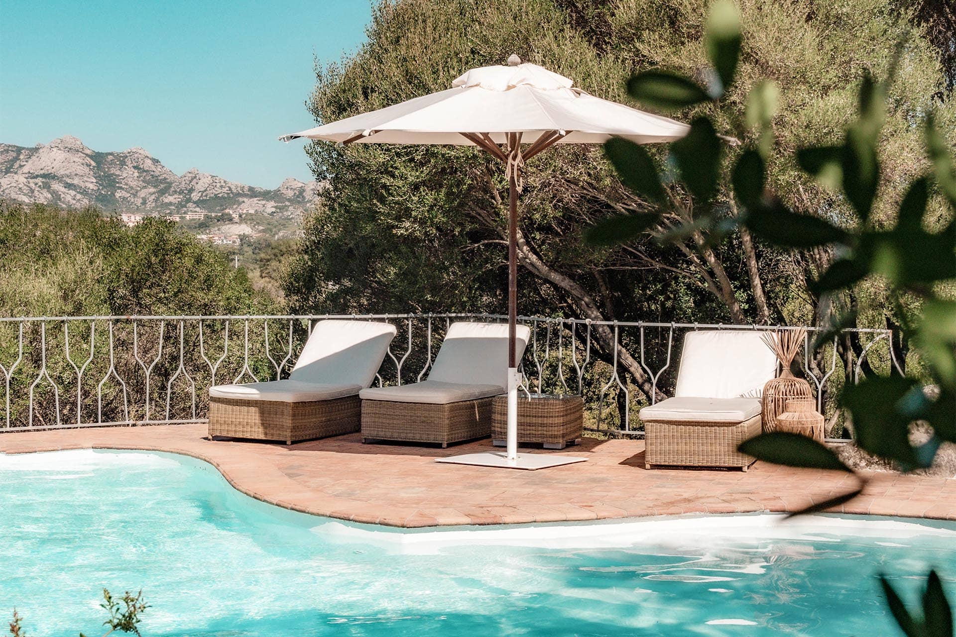 Image - a4d048a0-f72d-4c46-9fc7-f39980ca2e39