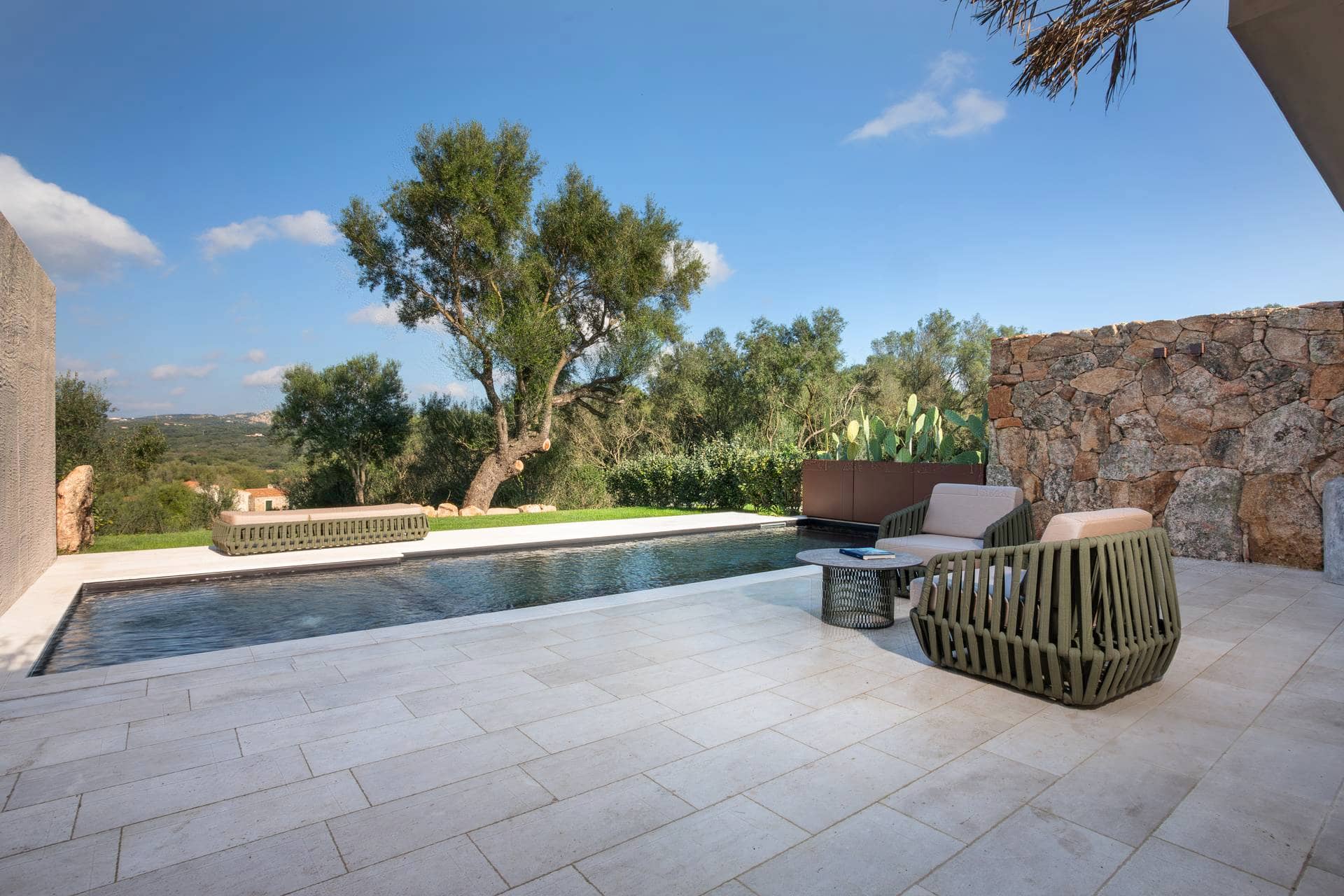 Image - 31952dcc-9dd1-484b-84b3-b8c0a23ed549